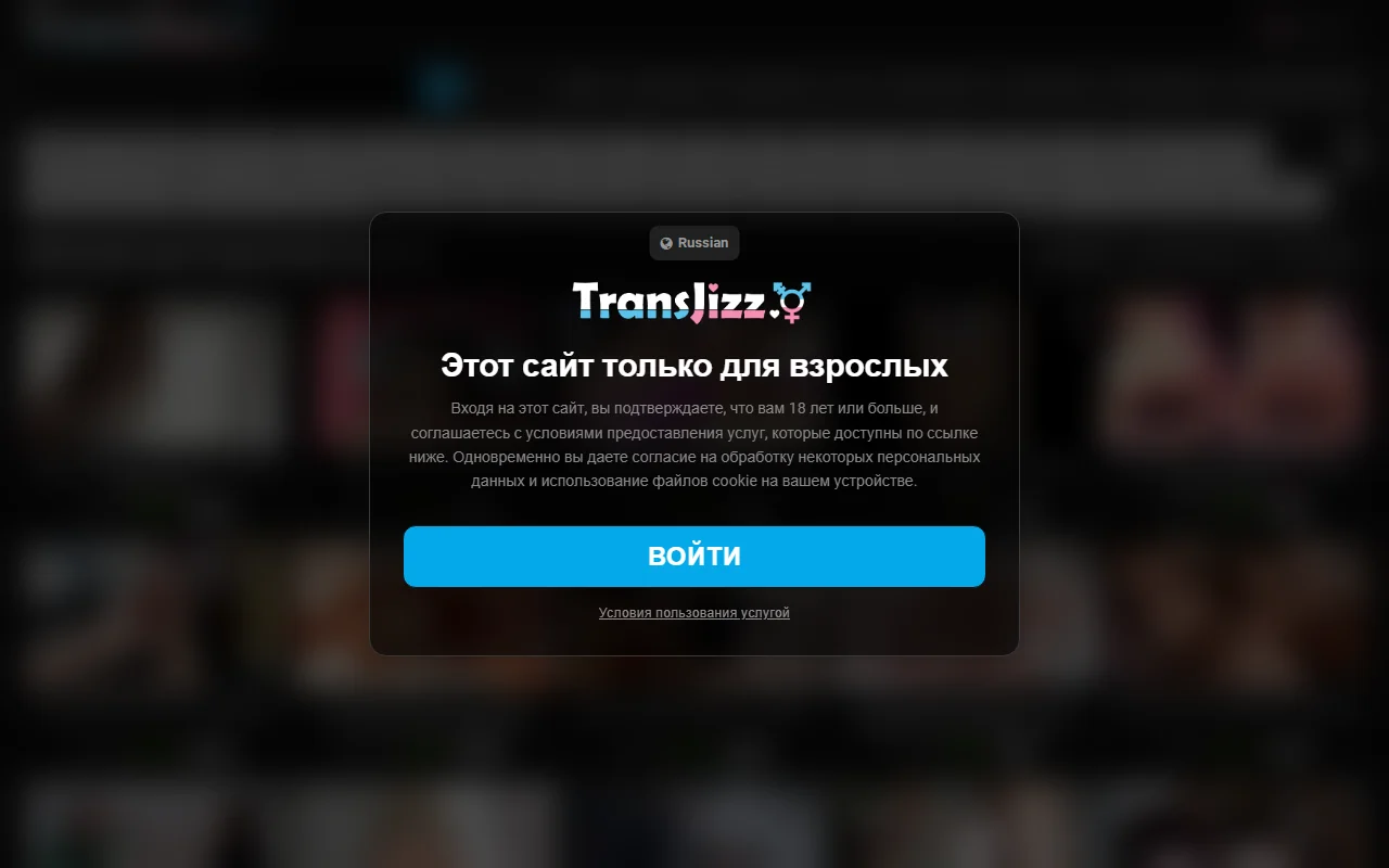 Screenshot of Transjizz Review